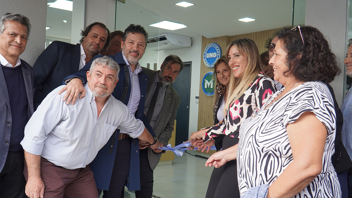 odontologia